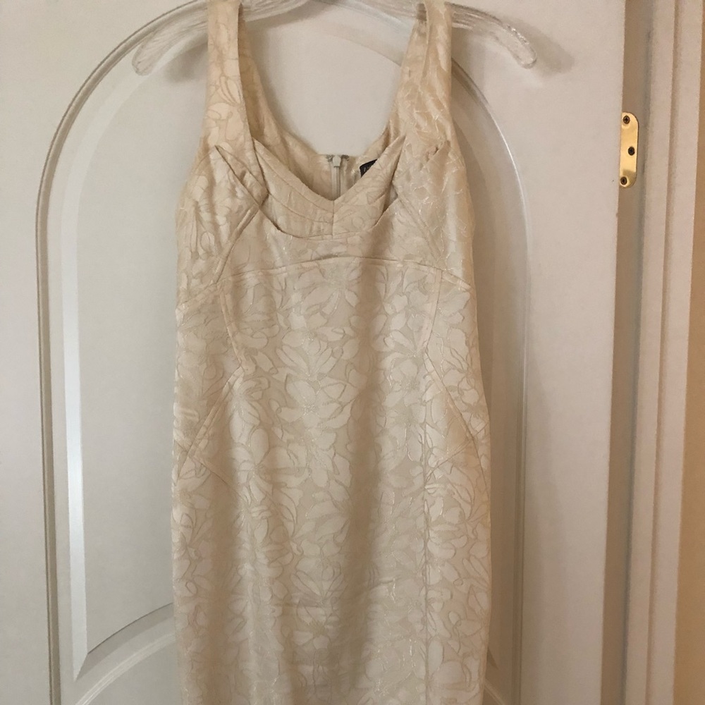 Zac Posen dress